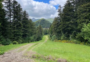 Trail Walking Thiézac - Cantal jour 5- Lafon- bufadou - Photo