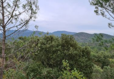 Tocht Stappen Bagnols-en-Forêt - barrage de Malpasset par la Gardiette - Photo