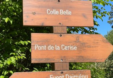 Trail Walking Gilette - Gilette - Pont de la Cerise et Bouyon - Photo