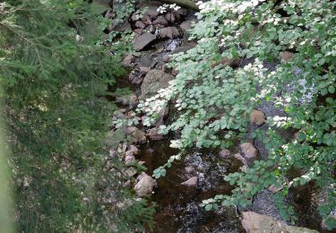 Trail On foot Eupen - Brandberg - Clouse - Photo