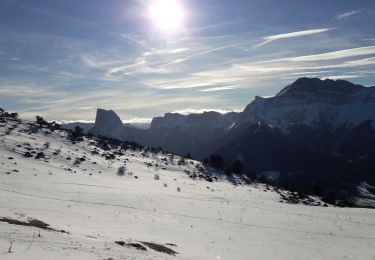 Trail Snowshoes Gresse-en-Vercors - Gresse n° 8 - Photo