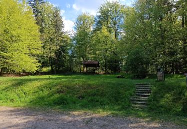 Trail Walking Raon-aux-Bois - circuit parcours raon aux bois chalet de bennevise - Photo