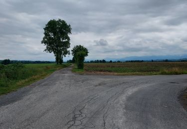 Tour Wandern Livron - Livron Rs vershourssimplifié - Photo