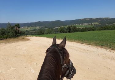 Trail Horseback riding Pont-Salomon - ecurie de l'aurore _ jusqu'à la Loire - Photo