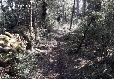 Trail Walking Saint-Saturnin - Vers l'antenne de La Canourgue - Photo