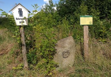 Randonnée A pied Leezen - Raben Steinfeld - Görslow - Photo