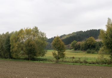 Trail On foot Paderborn - Paderborner Karstrundweg - Photo