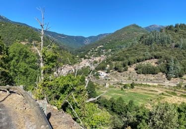 Tour Mountainbike Val-d'Aigoual - Fait GTMC E6 Bez et Esparon - Photo