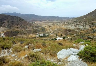 Trail On foot Níjar - Loma Pelada - Photo