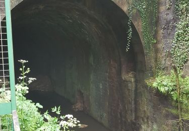 Randonnée Marche Champagney - Canal souterrain de la Haute-Saône - Photo