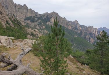 Percorso Marcia Quenza - les aiguilles de Bavella - Photo