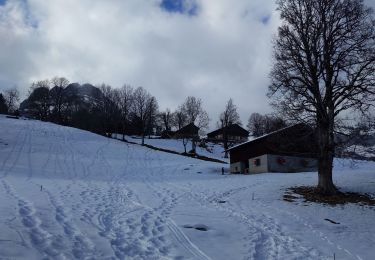 Tocht Sneeuwschoenen Sallanches - autour de Mayeres - Photo
