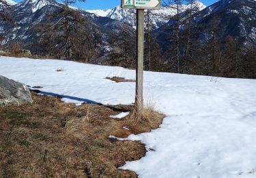 Trail Touring skiing Puy-Saint-Pierre - Puy St pierre le prorel  - Photo