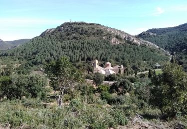 Tour Wandern Narbonne - Fontfroide trail - Photo