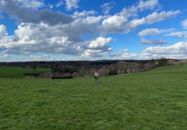 Trail Walking Lontzen - Lontzen - Photo