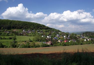 Tocht Te voet Beverungen - B7 - Über den Eisberg nach Roggenthal - Photo