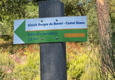 Trail Walking Bagnols-en-Forêt - Crête Diaou et gorges du Blavet - Photo