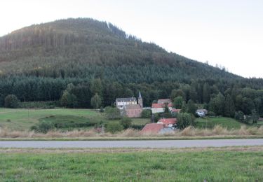 Randonnée Randonnée équestre Urbeis - Climont - Ban de Laveline - Photo