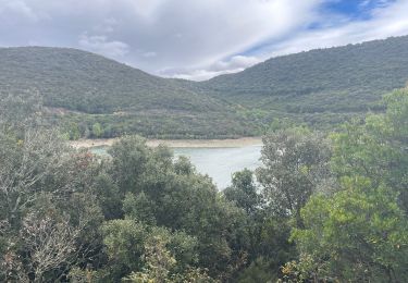 Percorso Marcia Vailhan - Le barrage des olivettes - Photo