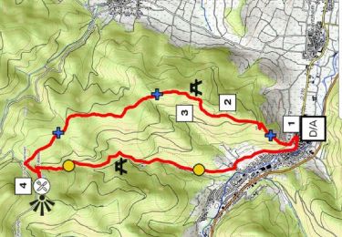 Tour Wandern Kaysersberg-Vignoble - De Kaysersberg à l'auberge St Alexis - Photo