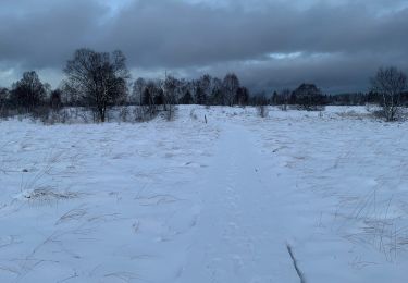 Tocht Stappen Waimes - Fagnes 1er jour - Photo