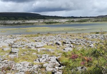 Randonnée Marche West Clare Municipal District - Irlande 2019-08 Mullaghmore, Burren National Park - Photo