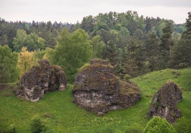 Percorso A piedi Alfeld - Rundweg Alfeld–Windloch - Photo