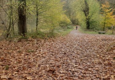 Tour Nordic Walking Spa - spaloumont_2 - Photo