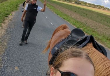 Trail Horseback riding Brouville - balade reherrey gelacourt Seb Marion  - Photo