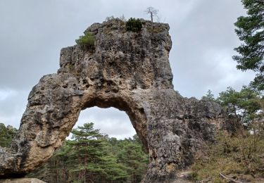 Tour Wandern La Roque-Sainte-Marguerite - Montpellier le vieux  - Photo