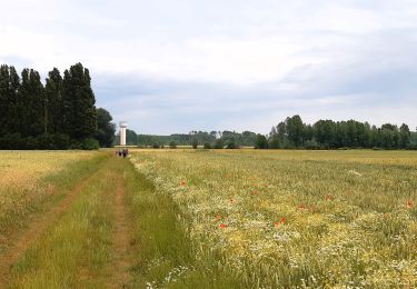 Tocht Stappen Marchiennes - Marchiennes - Photo