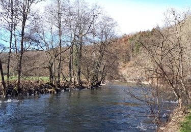 Tocht Stappen Durbuy - Barvaux-Durbuy Boucle GR - Photo