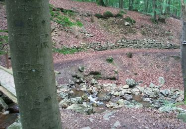 Trail Walking Spa - Spa berisienne  - Photo