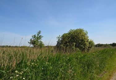 Tocht Te voet Kuden - St.Michaelisdonn Rundwanderweg Nr. 2 Rund um den Kudensee - Photo