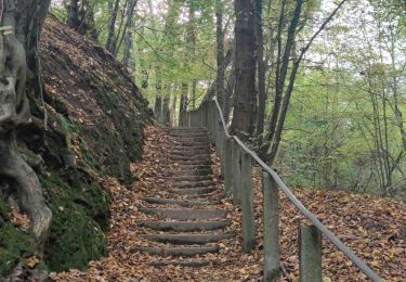 Tocht Stappen Aubel - A la découverte de Val Dieu  - Photo