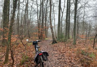 Trail Mountain bike Wavre - Lasnes ch bloqué - Photo