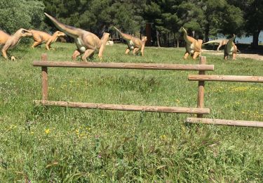 Tour Wandern Istres - Dinosaures  - Photo