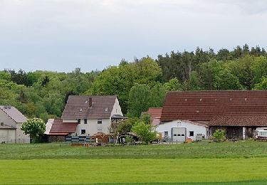 Randonnée A pied Großenseebach - Seebachgrund-Wanderweg - Photo
