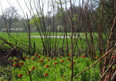 Percorso A piedi Hof van Twente - WNW Twente - Stokkum - rode route - Photo