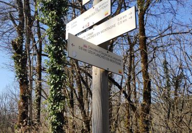 Trail Walking Les Planches-en-Montagne - gorges de Langouette - Photo