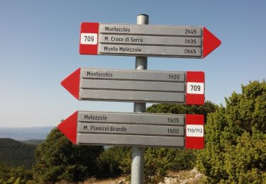 Percorso A piedi Montecchio - Anello di Melezzole - Photo