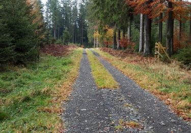 Tocht Stappen Gouvy - gouvy - Photo