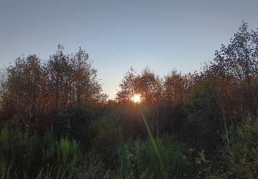 Tocht Stappen Eupen - nahtsief court - Photo