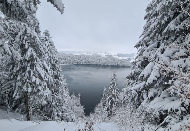 Excursión Marcha nórdica Besse-et-Saint-Anastaise - lac pavin 02/01/2021 - Photo