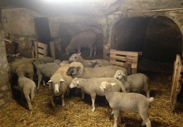 Percorso A piedi Cserépváralja - ST (Kő-völgy tanösvény) - Photo