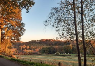 Tocht Stappen Esneux - tilff . bois des manants . ourthe  - Photo