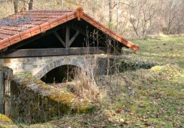 Tour Wandern Azérat - Les eaux minérales oubliées de Clémensat - Photo