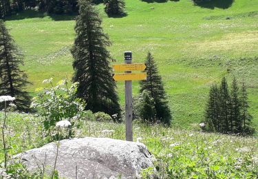 Trail Walking Molines-en-Queyras - c près fromage  - Photo
