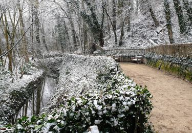 Randonnée Marche Auderghem - Rouge-Cloître - Parc de Woluwe - Photo