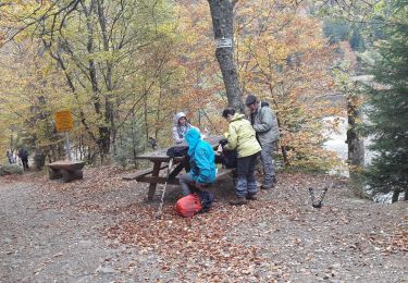 Trail Walking Linthal - 2019.10.15.Lauch - Photo